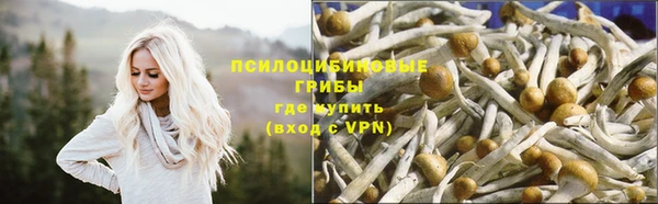молекула духа Покровск