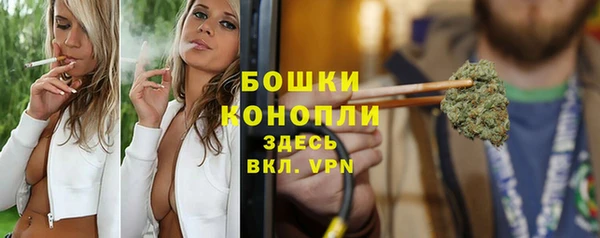 молекула духа Покровск
