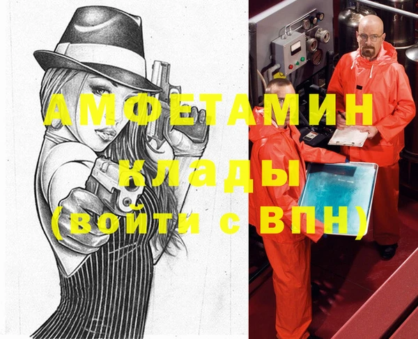 молекула духа Покровск