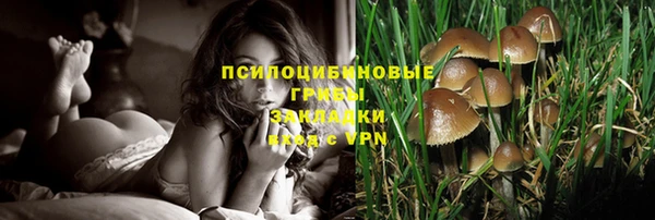молекула духа Покровск